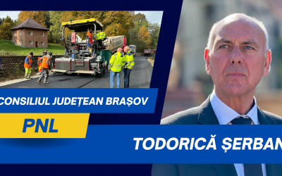 Todorică Șerban, vicepreședinte Consiliul Județean Brașov: Lucrările la infrastructura de apă din Țara Făgărașului, corelate cu reabilitarea drumurilor