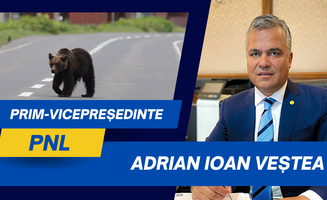 Adrian Ioan Veștea: De astăzi, un cadru mai clar pentru intervenții rapide în situațiile de risc generate de prezența urșilor în localități