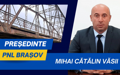 Mihai Cătălin Văsii, președinte PNL: Podul care leagă satul Podu Oltului de Hărman, pe DJ 112. Are peste 100 de ani, aflat în stare avansată de degradare, iar expertiza tehnică a arătat că trebuie demolat și înlocuit cu un pod nou