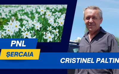 Cristinel Paltin, primar Șercaia: Ne pregătim de sărbătoare – Festivalul Narciselor revine cu parfum de primăvară și folclor autentic